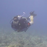  kona-diving-2007