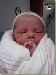 Dominic