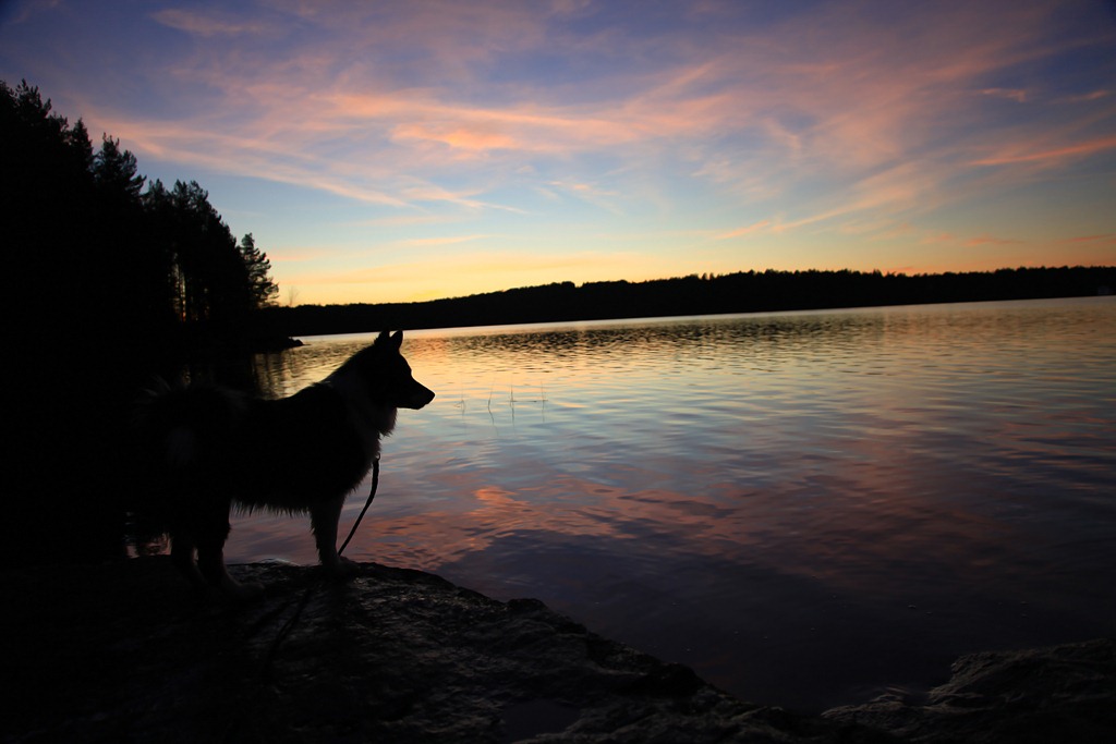 [08nov2011_Ingridtjern_5286%255B5%255D.jpg]