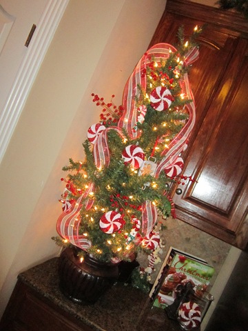 [Christmas%25202011%2520178%255B3%255D.jpg]
