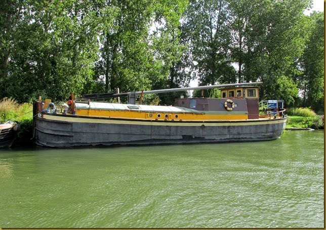 IMG_1036 IMG_1036