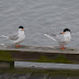 P1050656
