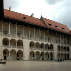 DSC_7894.jpg