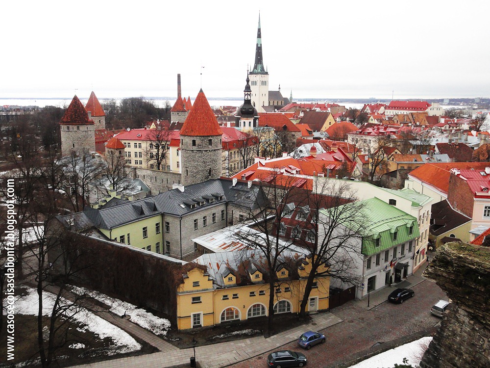 [20110411-199%255B5%255D.jpg]