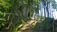 P1100627.JPG Photo