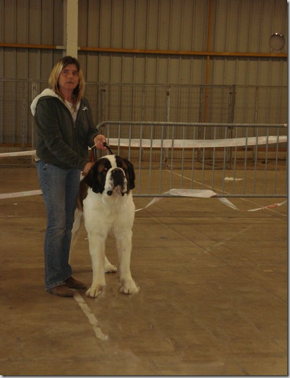 GIN CLASSE INTERMEDIAIRE BEZIERS 2012 (16)