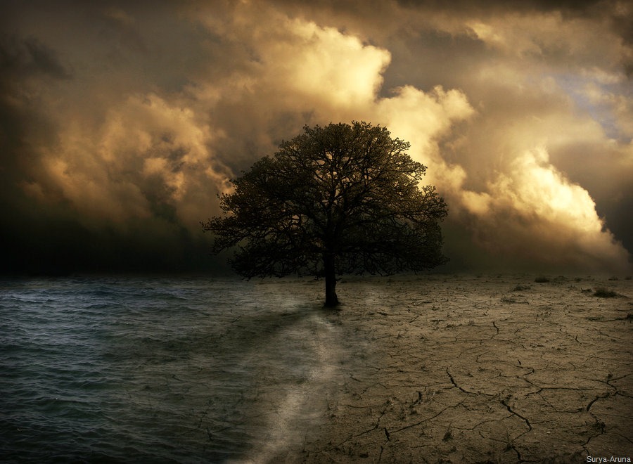 [_a_Halcyon_Collision_by_masKade%255B5%255D.jpg]