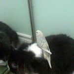 luna and angel2.jpg luna and angel2.jpg