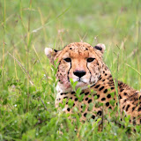 Kenia