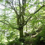 DSC05787.JPG