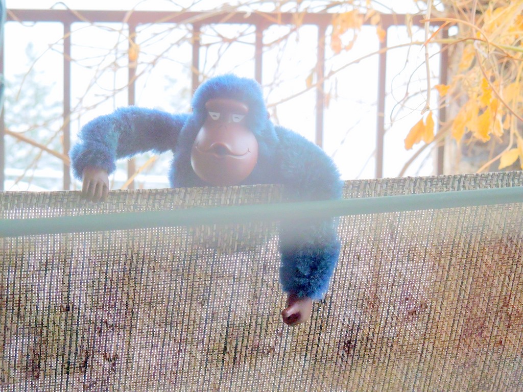 [DSCN5201%255B3%255D.jpg]