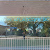 2011-06-03 11.08.16.jpg