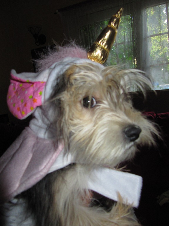 [IMG_0233%255B3%255D.jpg]