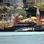 A Shoreline Carnival - Sydney, Australia