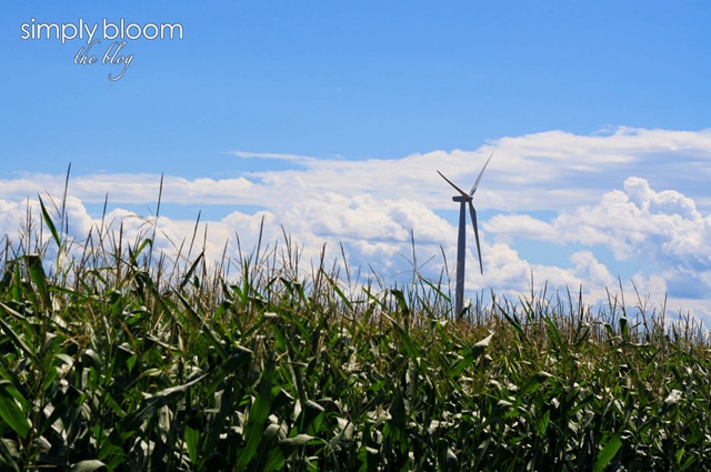 [turbine%2520%25281%2520of%25201%2529%255B4%255D.jpg]
