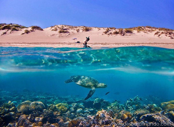 sony-world-photography-awards-2013-30 sony-world-photography-awards-2013-30