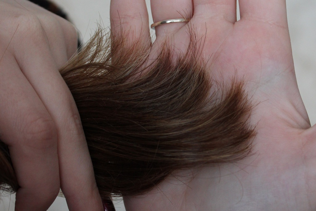 [philip%2520kingsley%2520elasticizer%2520%25282%2529%255B4%255D.jpg]