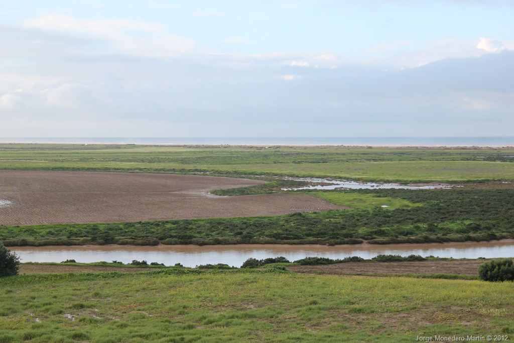 [IMG_8069%255B8%255D.jpg]