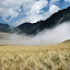 Looking back down the meadow valley with the mist rolling in