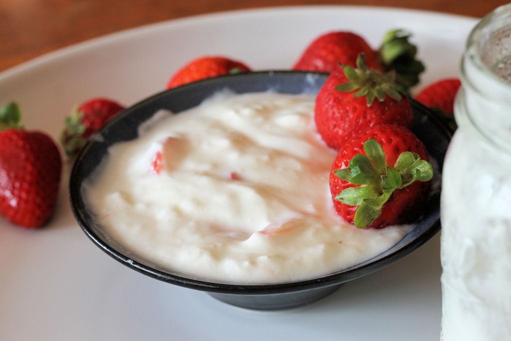 [easy_homemade_yogurt%255B5%255D.jpg]