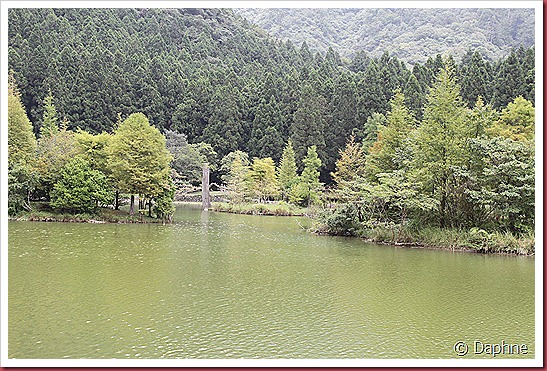 IMG_0380 IMG_0380