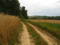 dalej  Photo