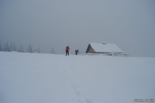 baiului-30.JPG
