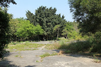 IMG_5519.JPG