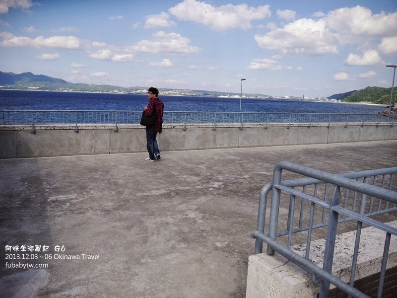 調整大小P1010678 調整大小P1010678