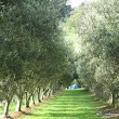 Chef-led journey through the Mornington Peninsula fourteen IMG_1620.jpg