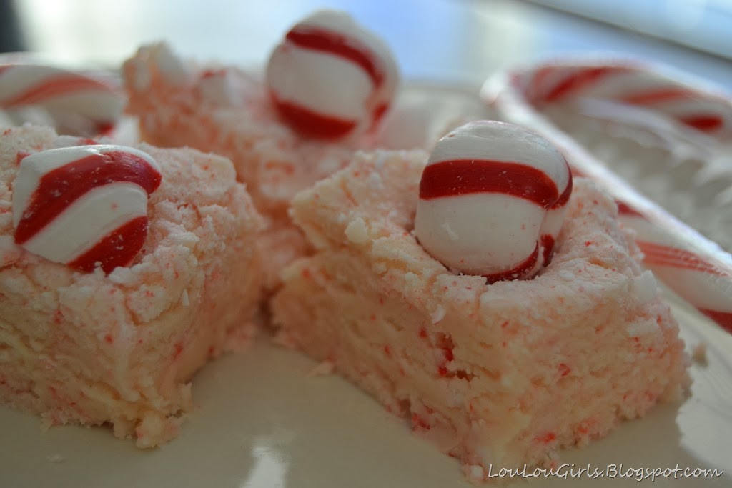 [Peppermint-Fudge-Recipe%2520%25282%2529%255B3%255D.jpg]