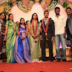 Ks Ravikumar (14).JPG