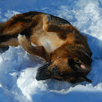 Zima 2011