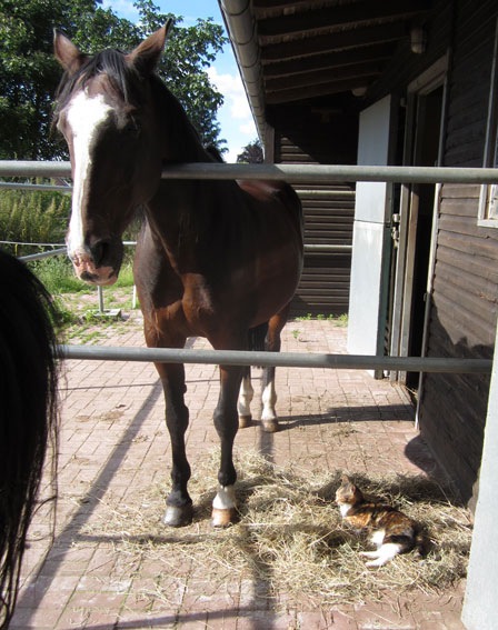 [IMG_0220%255B2%255D.jpg]