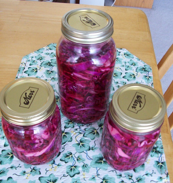 [Red-cabbage-UK4.jpg]