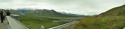 Denali_pano