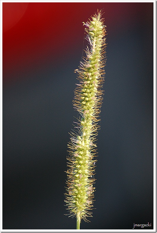 DSC_01070001 DSC_01070001