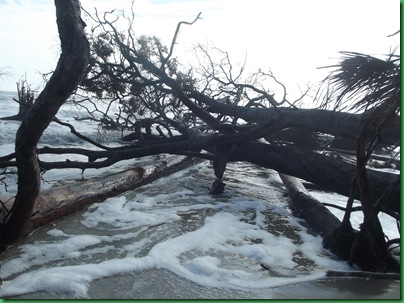 Last day at Hunting Island 052