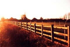 Horse-Land-2---XPRO