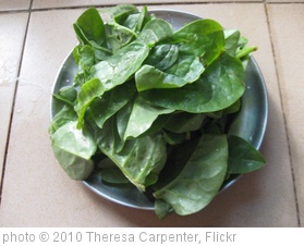 'Fresh spinach' photo (c) 2010, Theresa Carpenter - license: http://creativecommons.org/licenses/by-sa/2.0/