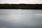 IMG_5028.JPG