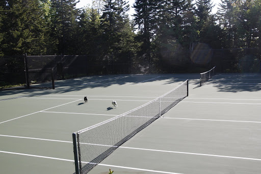 The courts are really fun to run on when no one is playing.