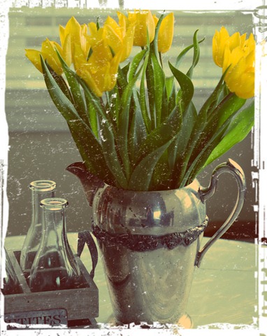 [aladdinsubtlescantulips4.jpg]