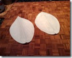 IMG_2959 IMG_2959