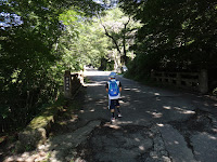 DSC00357.JPG Photo