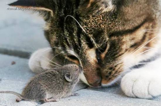 You don't take a photograph, you make it. - Ansel Adams