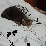 onthebed