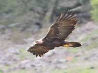 DSC_0259.jpg