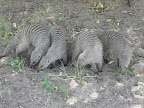 Etosha Nationalpark