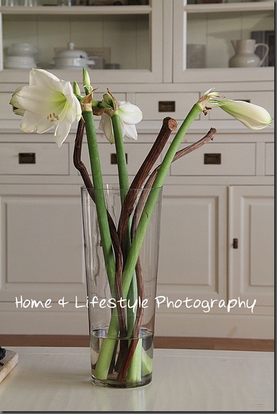 Home & Lifestyle Home & Lifestyle